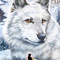 Nancy Drew The White Wolf of Icicle Creek Free Download Torrent