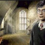Harry Potter and the Order of the Phoenix (video game) game free Download for PC Full Version