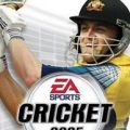 Cricket 2005 Free Download for PC