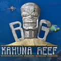 Big Kahuna Reef Free Download for PC