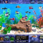 Fish Tycoon Game free Download Full Version