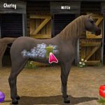 Pony Friends 2 Download free Full Version