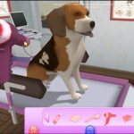 Let's Play Pet Hospitals Download free Full Version