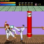 Kung Fu Master Game free Download Full Version